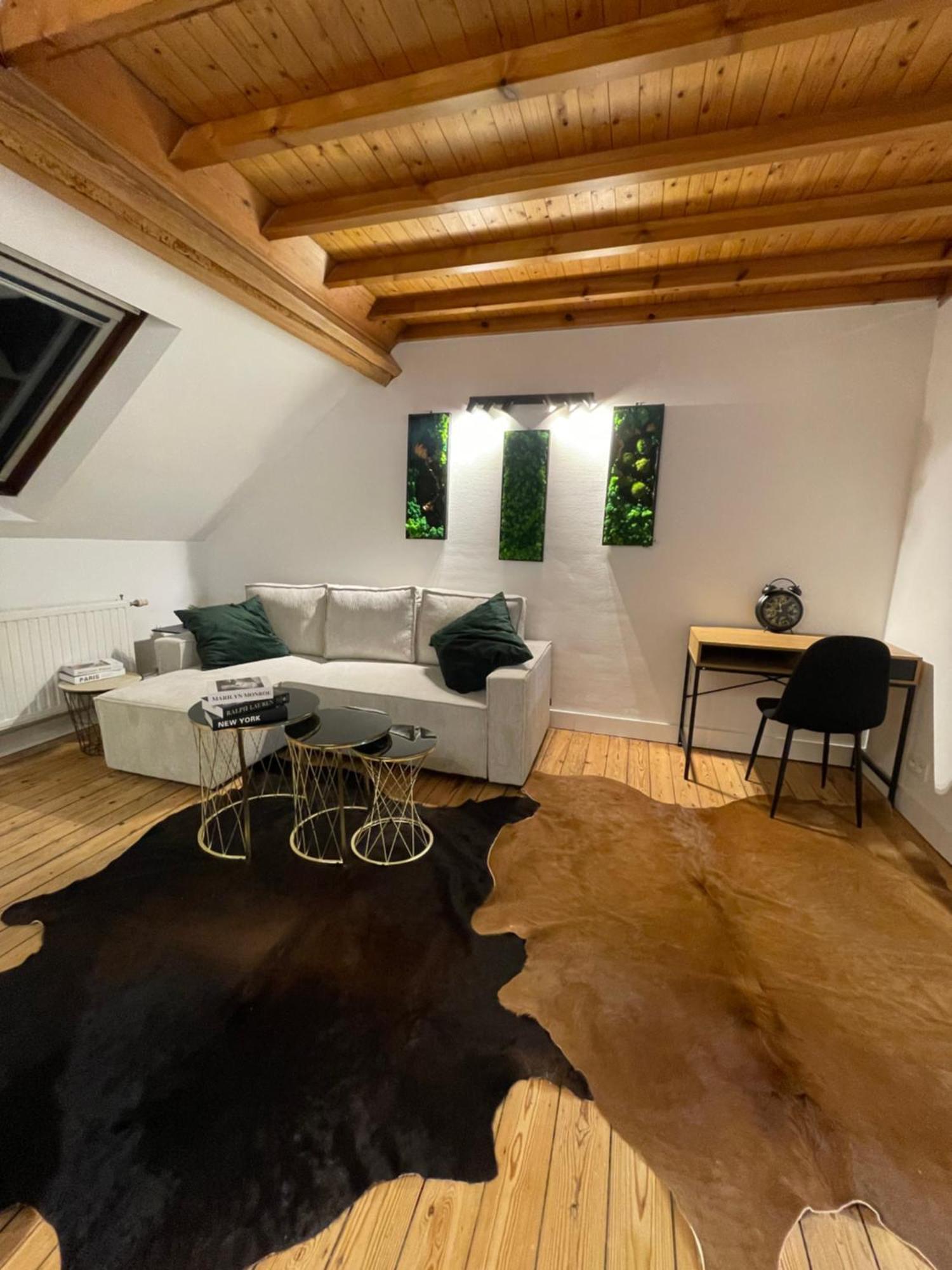Ferienwohnung Attic European Quarter Brüssel Exterior foto